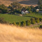 Winery listing transparent placeholder