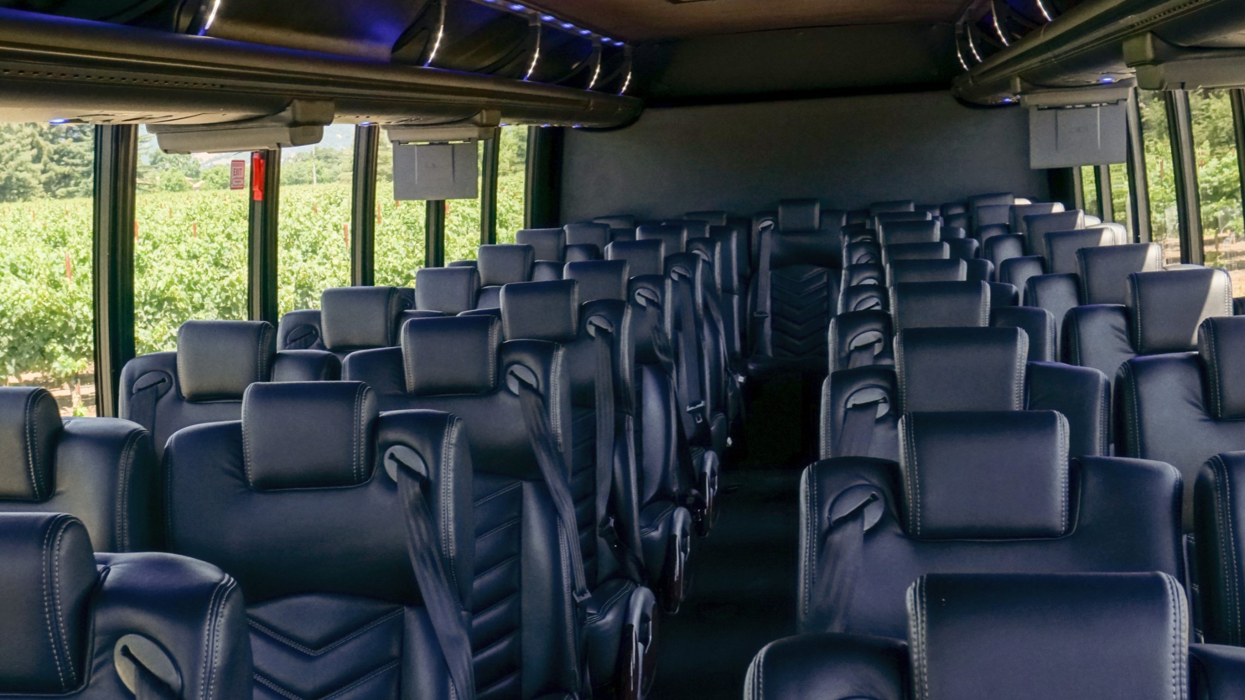 Limo Party Bus (up to 30 guests)