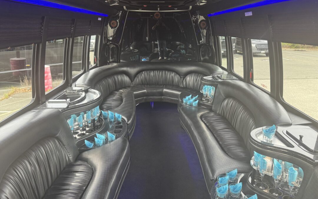 Limousine Bus – KK 20 Passenger