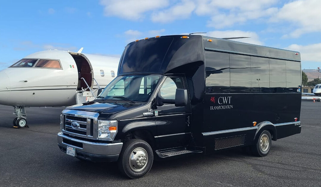 15 Passenger Luxury Bus