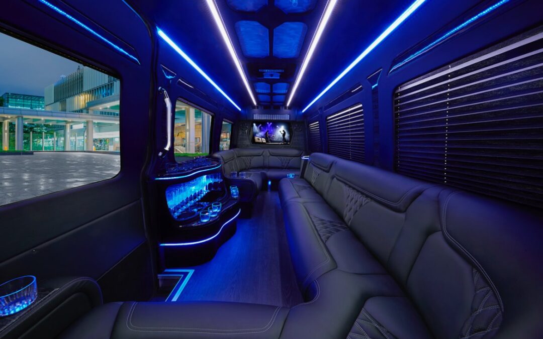 Limousine Sprinter – Grech 14 Passenger