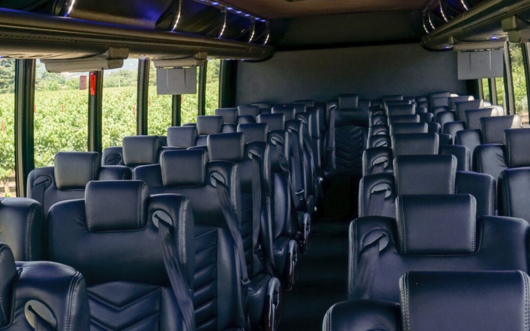 31 Passenger Luxury Bus