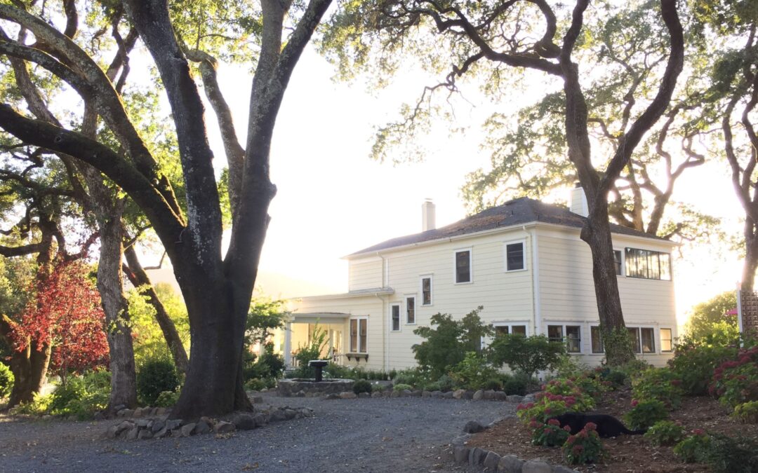 The Platinum Pour Tour – Napa’s Elevated Wine Country Experience