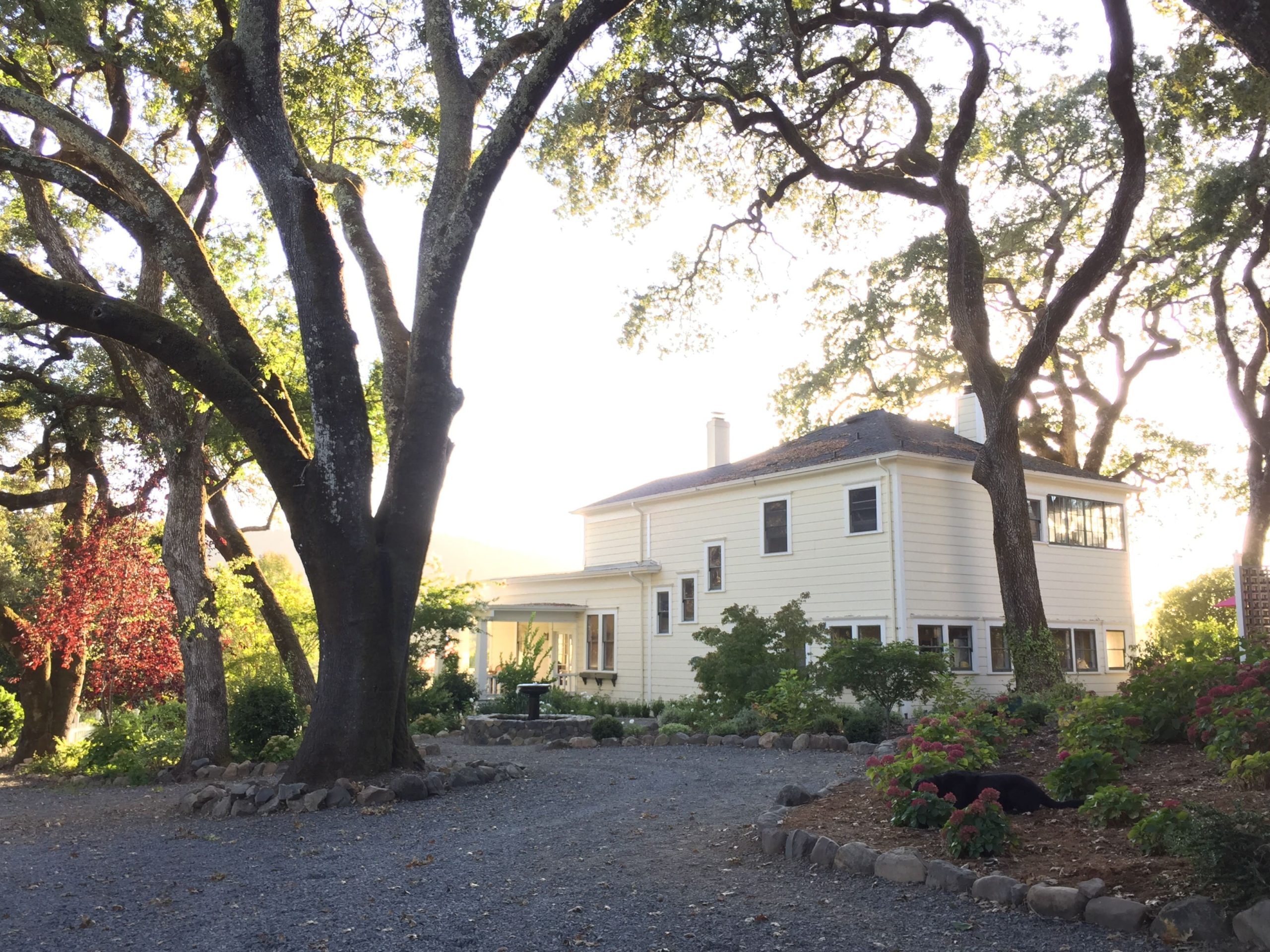 A house with a driveway and trees in front, showcasing a suburban landscape.