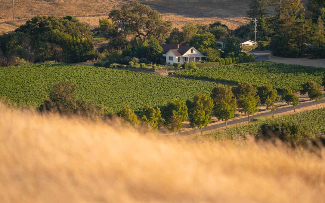 Dunstan Winery