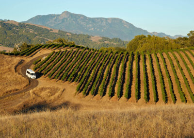 Old Vines, Good Times – A Heritage-Focused Sonoma Wine Adventure