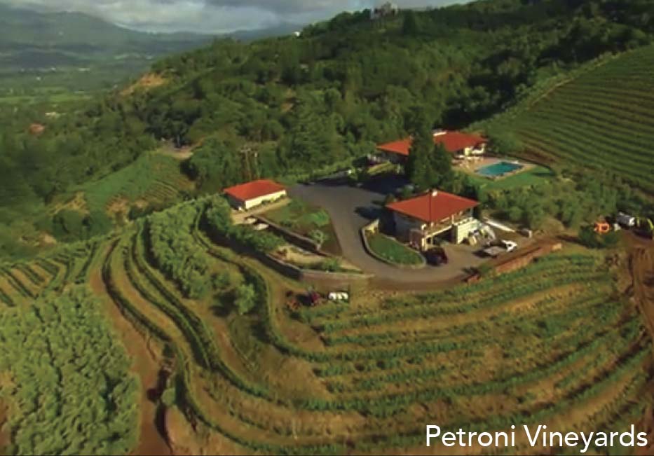 Petroni-Vineyards-1 Petroni Vineyards