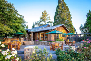 Rochioli winery