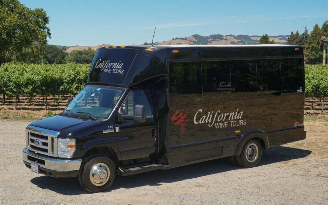 Luxury Touring Van Seats 14