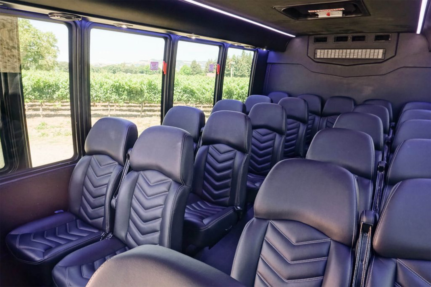 Passenger Luxury Bus (up to 23 guests)