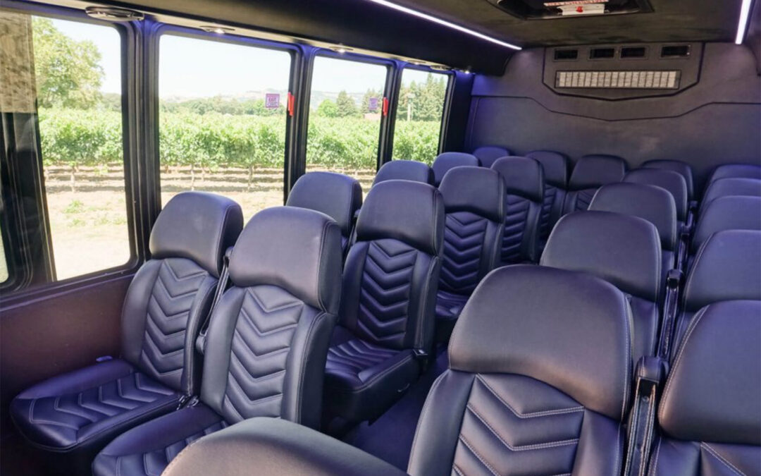 23 Passenger Luxury Bus