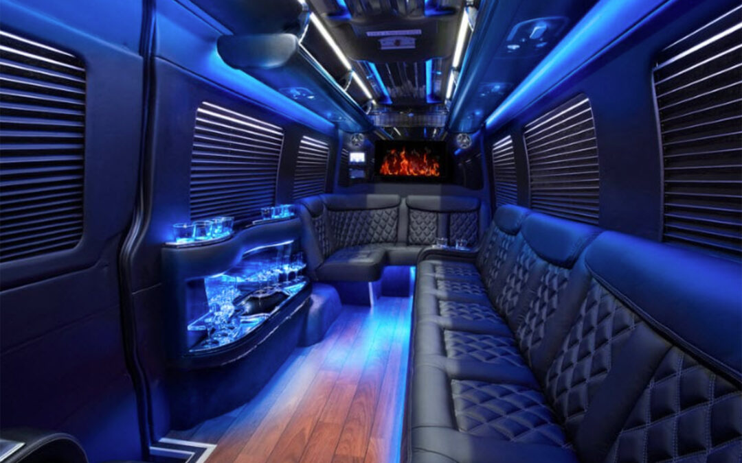 Limousine Sprinter – Grech 12 Passenger