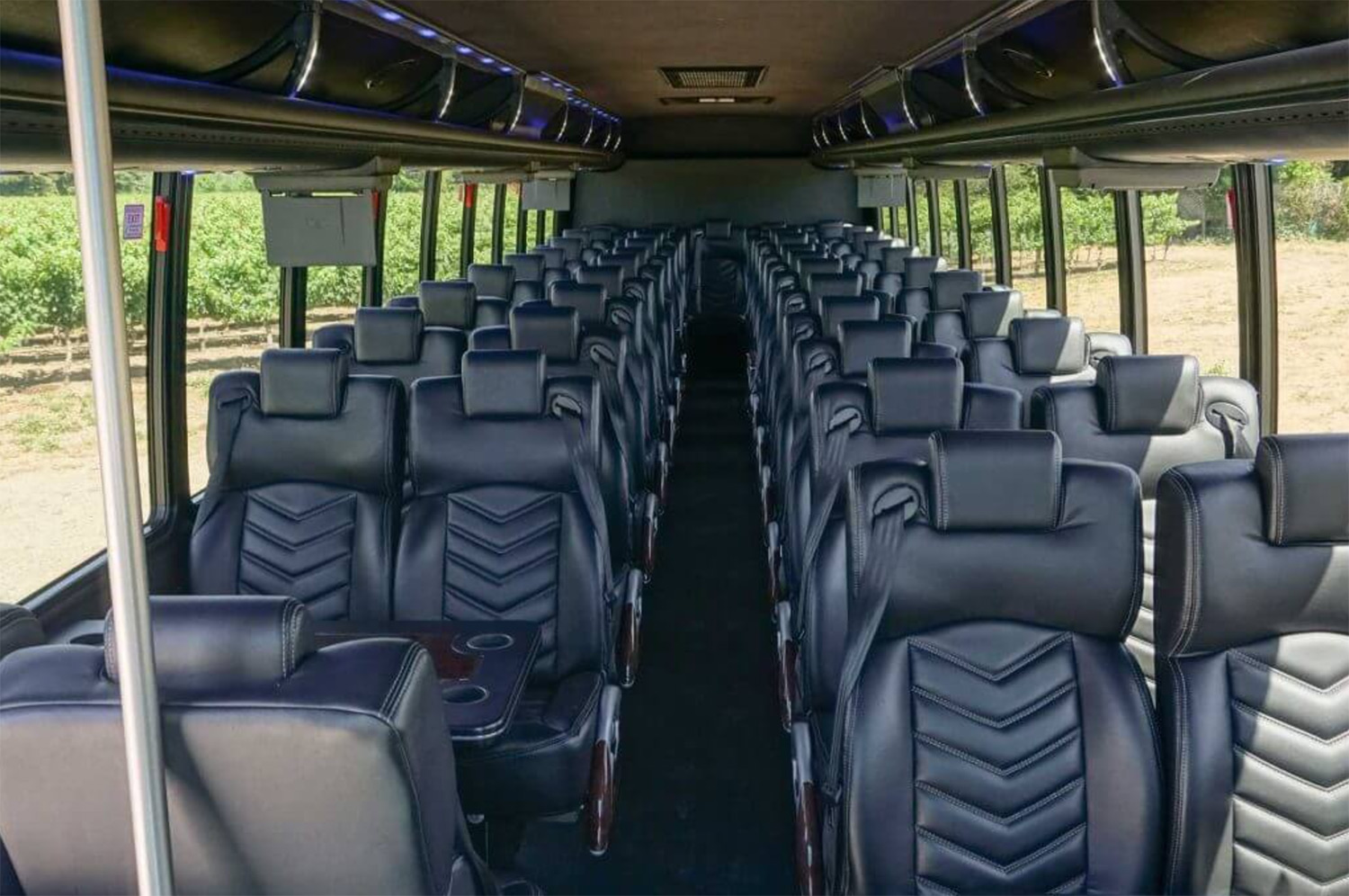 Passenger Luxury Bus (up to 31 guests)