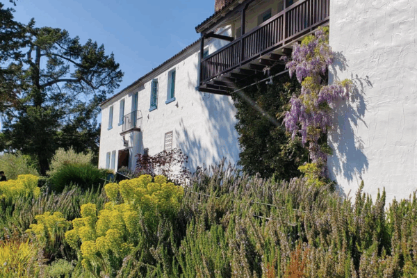 A house nestled within a vibrant green garden, showcasing lush plants and flowers surrounding the property