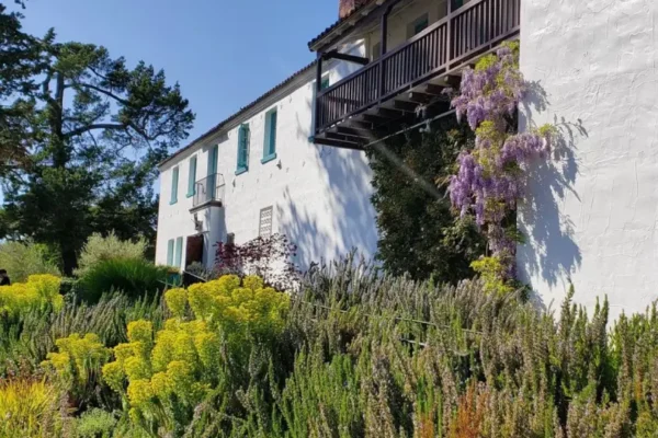 A house nestled within a vibrant green garden, showcasing lush plants and flowers surrounding the property