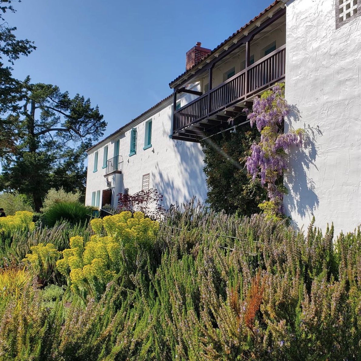 A house nestled within a vibrant green garden, showcasing lush plants and flowers surrounding the property