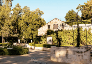 buena vista winery outside with trees around