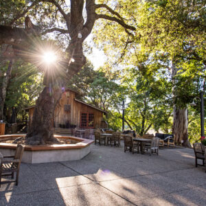benzinger winery outside with trees