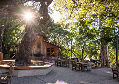 Barrels, Bundschu & Beyond – A Sonoma Valley Heritage & Estate Tour