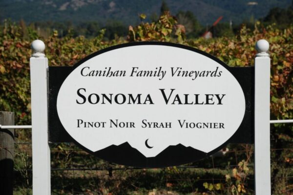 Sonoma Valley vineyard sign displayed prominently, surrounded by rows of green grapevines and scenic hills.