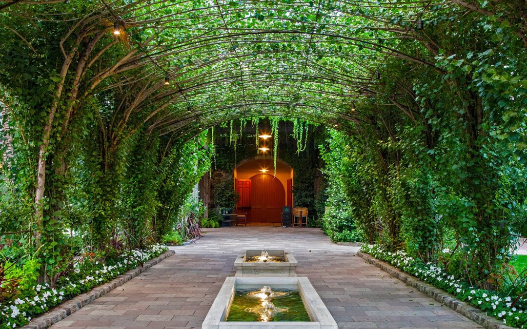 Caymus Winery