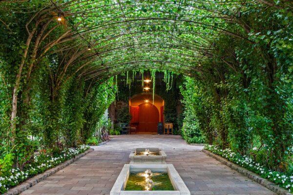 A tranquil walkway at Caymus Vineyards, adorned with a fountain and vibrant green plants.