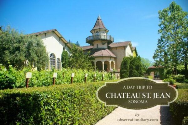 Chateau Jean Winery, featuring its charming building and lush vineyards, set against a backdrop of rolling hills.