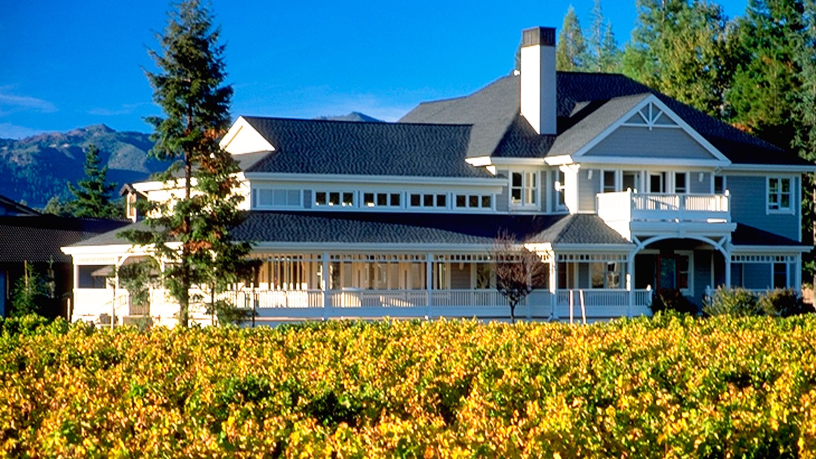 duckhorn A large house with a vineyard in front, showcasing the scenic beauty of Duckhorn estate.