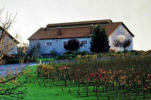 etude winery and vineyard in front of it
