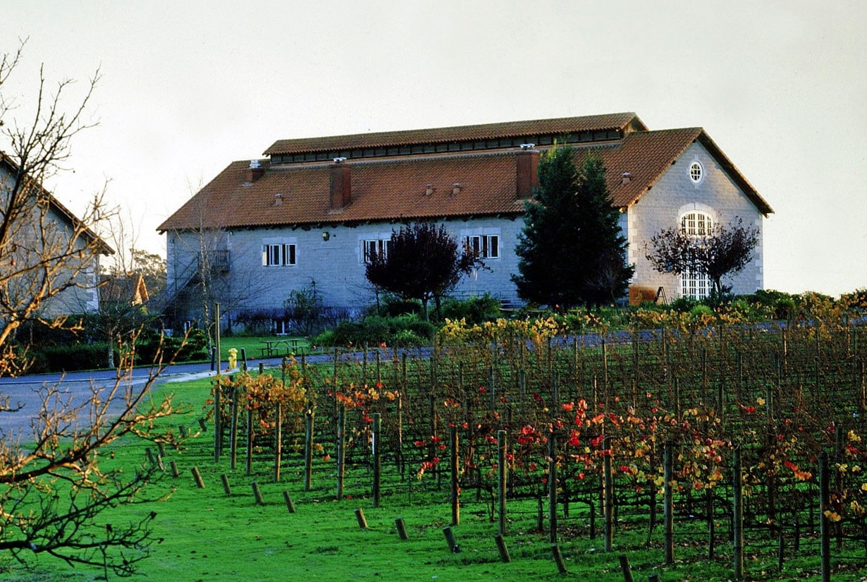 etude-winery-image etude winery and vineyard in front of it
