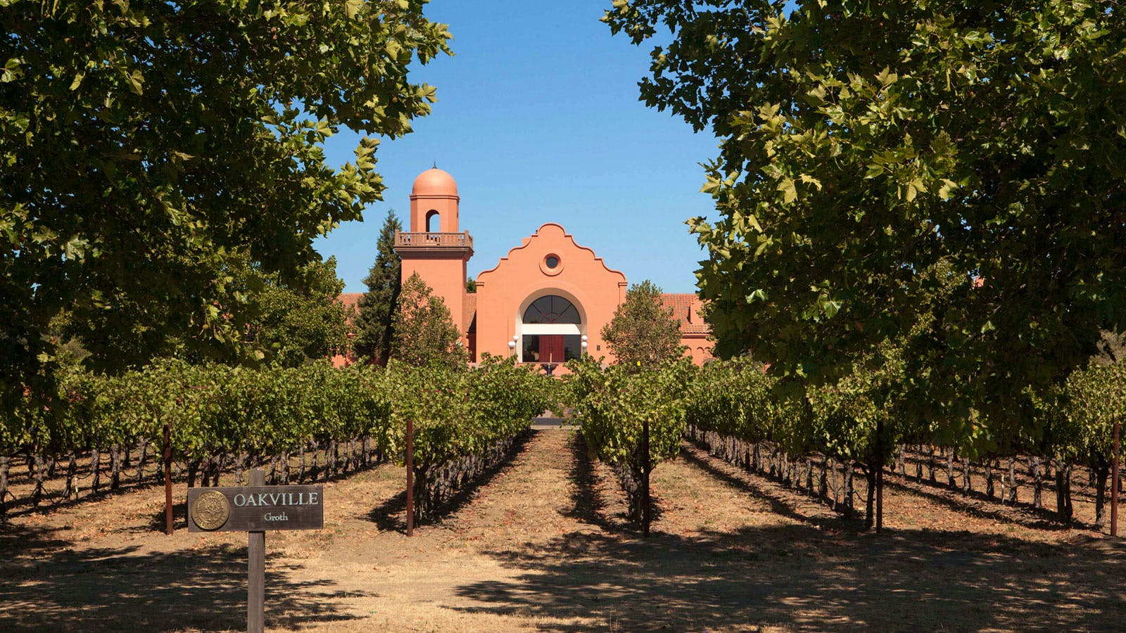 A church nestled among lush trees and vines, creating a serene and natural atmosphere.