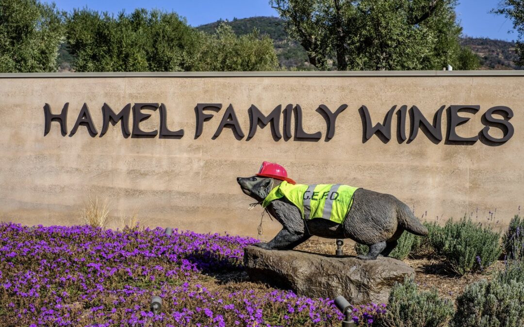 Hamel Family Wines