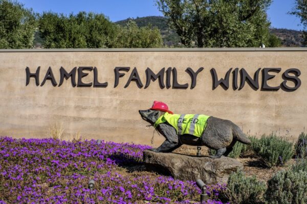 Sign for Hamel Family Wines, featuring elegant typography and a vineyard backdrop.