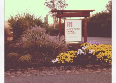 Legends & Lavender – A Sonoma Valley Journey of History & Harmony