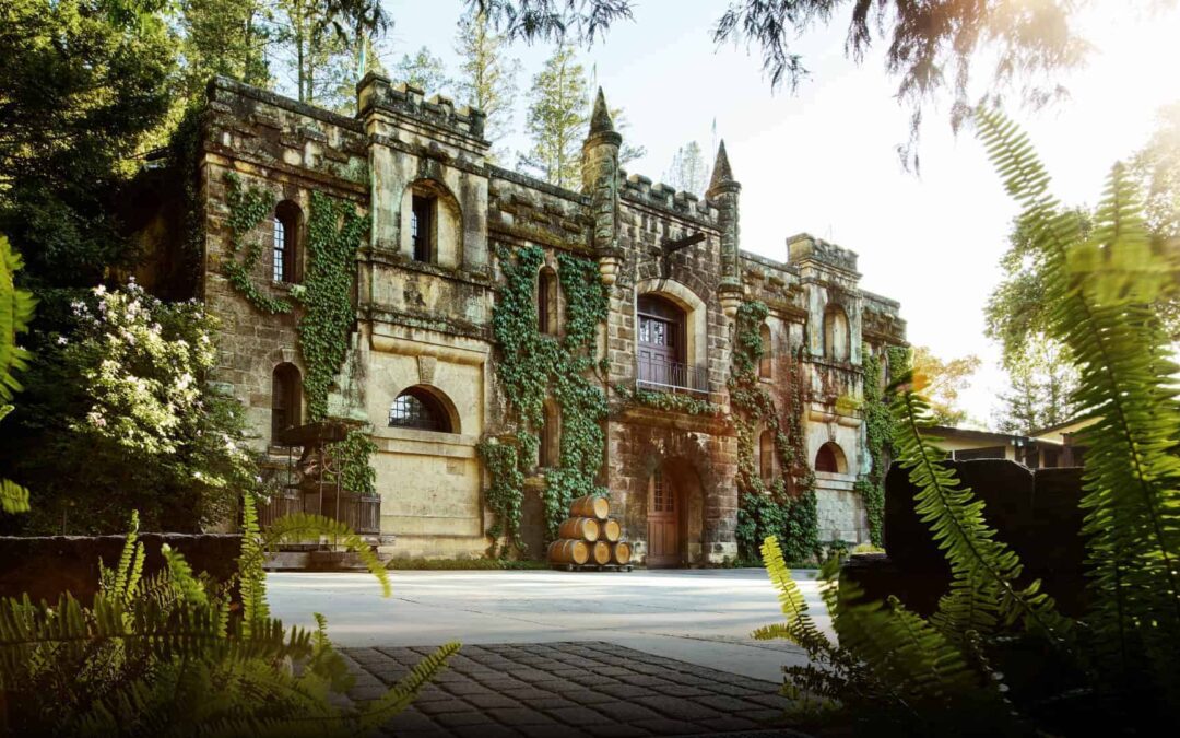 Roots of Napa – A Journey Through Napa’s Wine Heritage