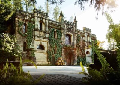 Roots of Napa – A Journey Through Napa’s Wine Heritage