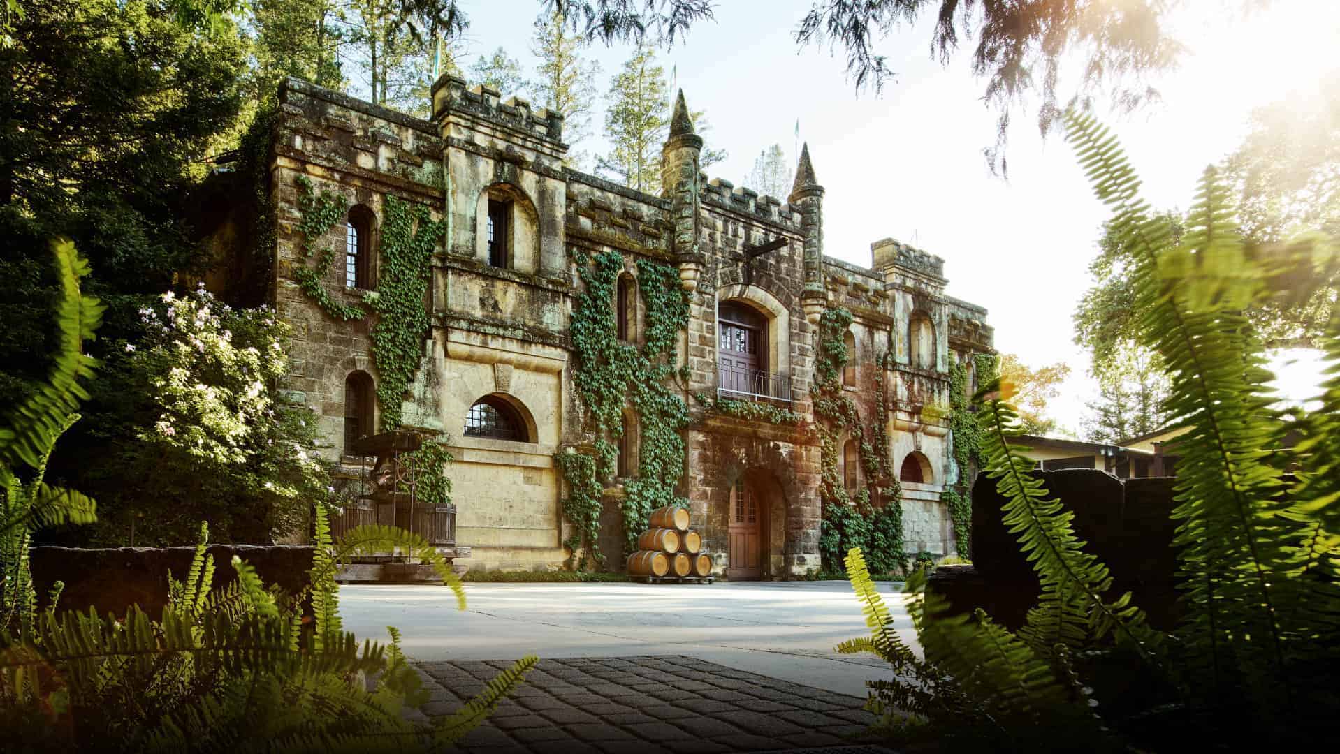 Montelena Chateau, a majestic castle, is surrounded by vibrant green plants and lush foliage.