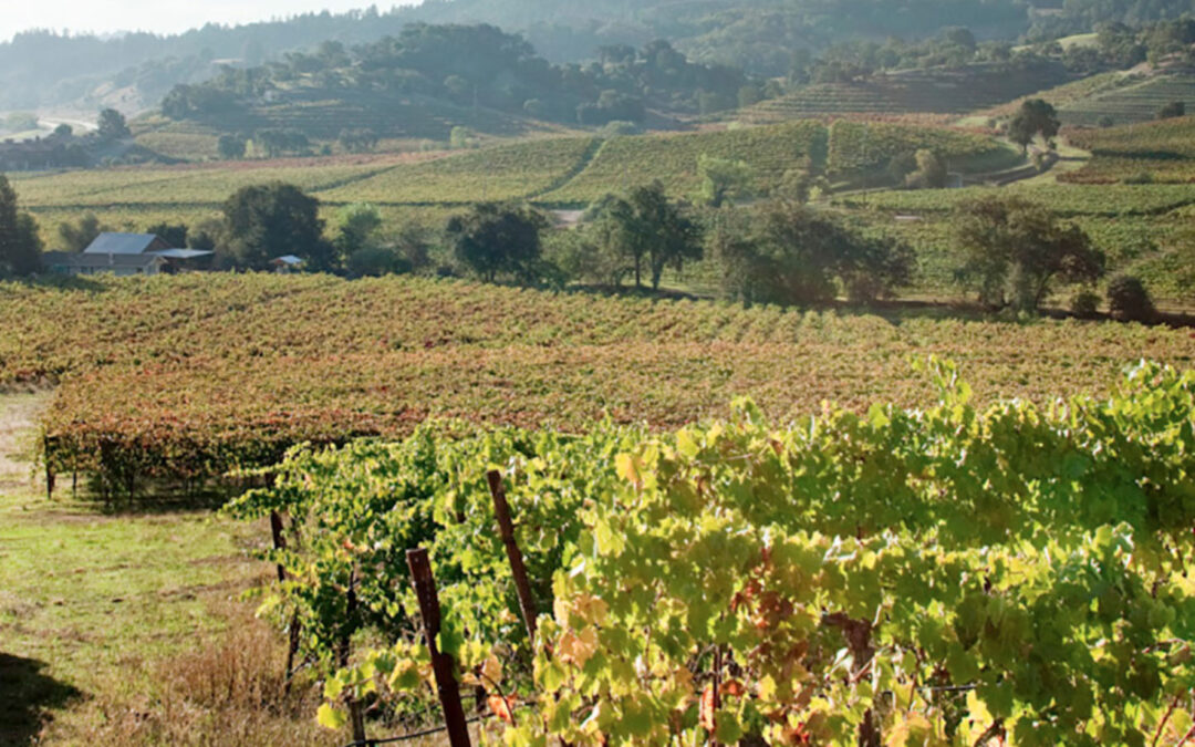 Seghesio Family Vineyards