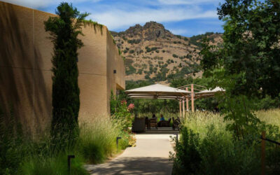 Wineries in Napa & Sonoma with the Best Vineyard Views