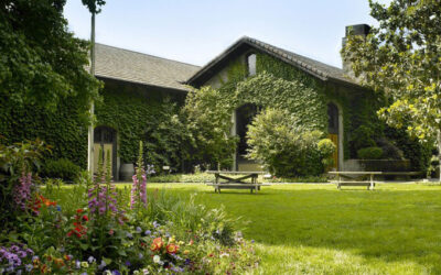Dry Creek Valley Wine Tours & Tastings
