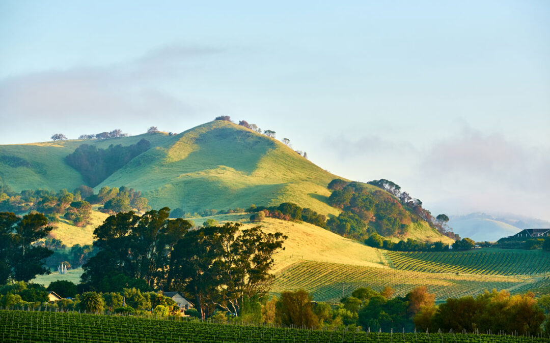 Glen Ellen Wineries, Restaurants & Accommodations