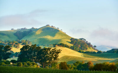 Glen Ellen Wineries, Restaurants & Accommodations