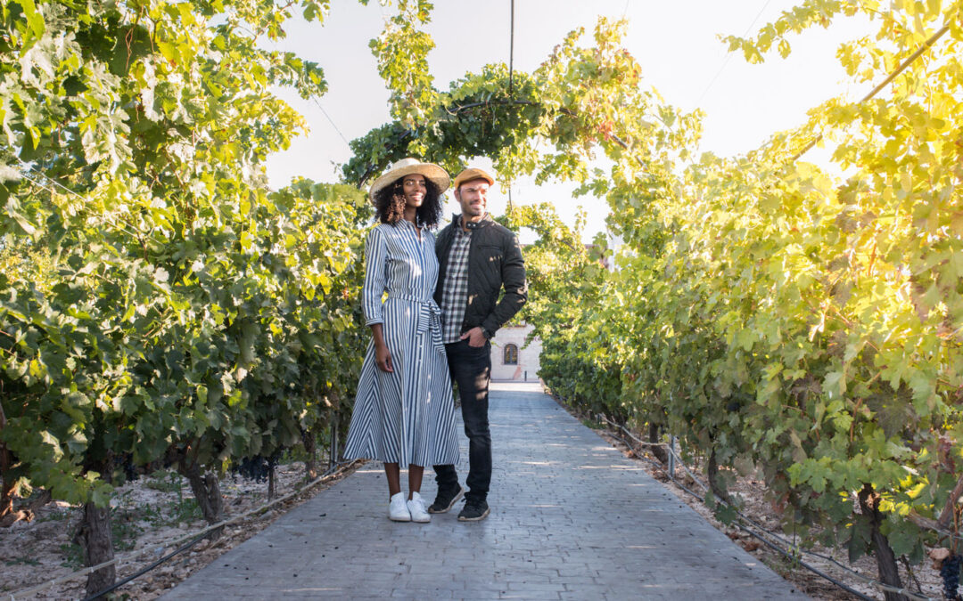Kenwood Wineries, Dining & Accommodations: Your Sonoma Wine Guide