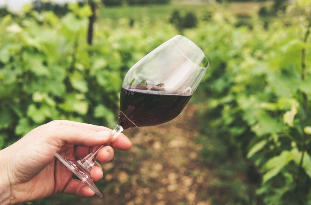 Napa Valley Hidden Gems Wine Tour