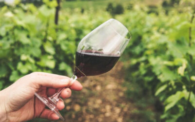 Napa Valley Hidden Gems Wine Tour