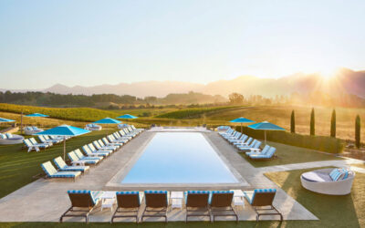 Napa Valley Wine Tours from Carneros Resort: A Perfect Day Itinerary