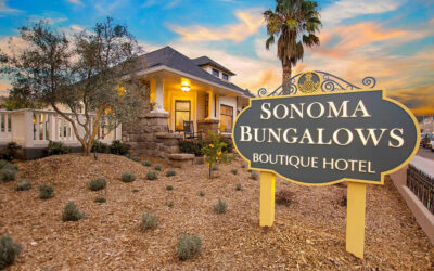 Sonoma Wine Tours: Boutique Wineries, Private Tastings & Custom Itineraries