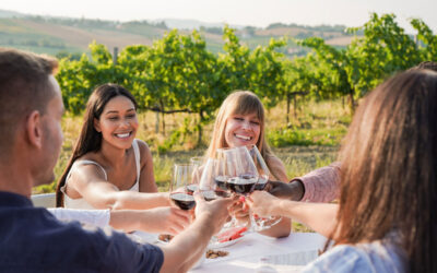 Top Sonoma Valley Wineries for Your Wine Tour