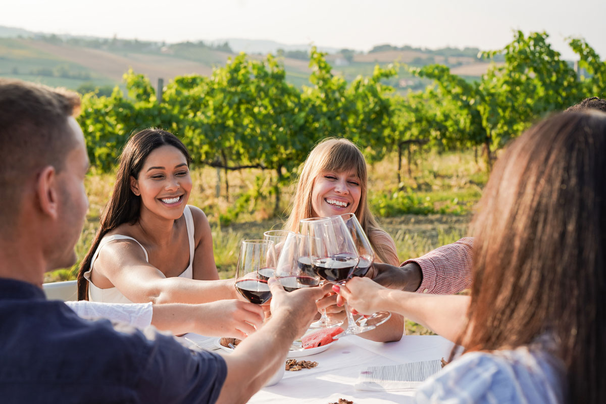 friends cheers-ing their wine glasses at a table in vineyard