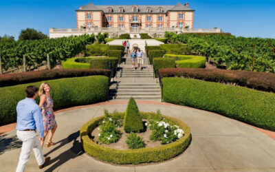Touring the Carneros Wine Region: Napa & Sonoma’s Overlooked Gem